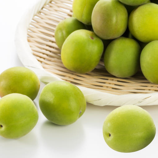 매실(청왕매) 상묘