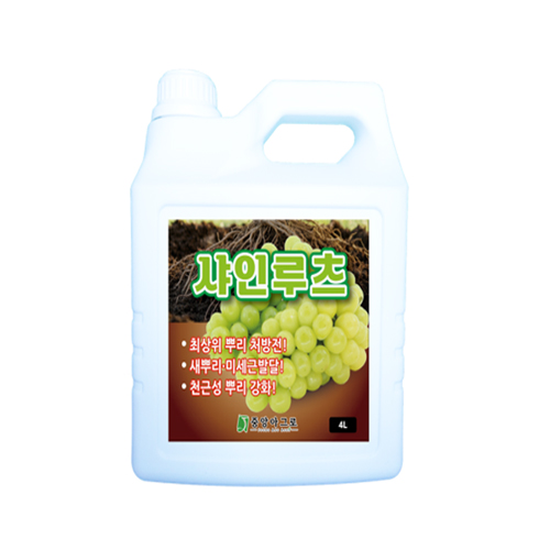 샤인루츠 4L