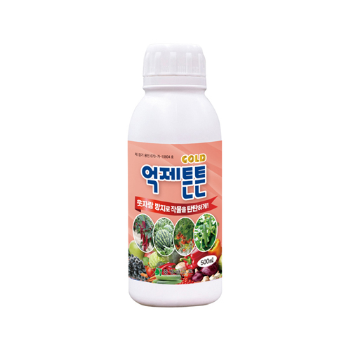 억제튼튼골드 500ml 3개