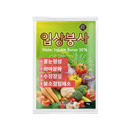 입상붕사 진 1kg 2개