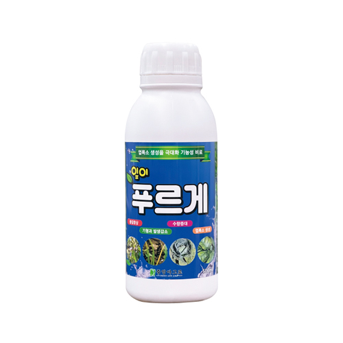 잎이푸르게 500ml 3개